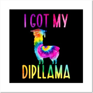 I Got My Dipllama Posters and Art